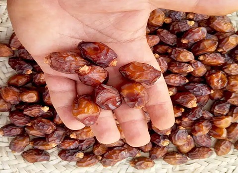 تصویر 3 از فروش خرما ریزه خاصویی + قیمت خرید به صرفه